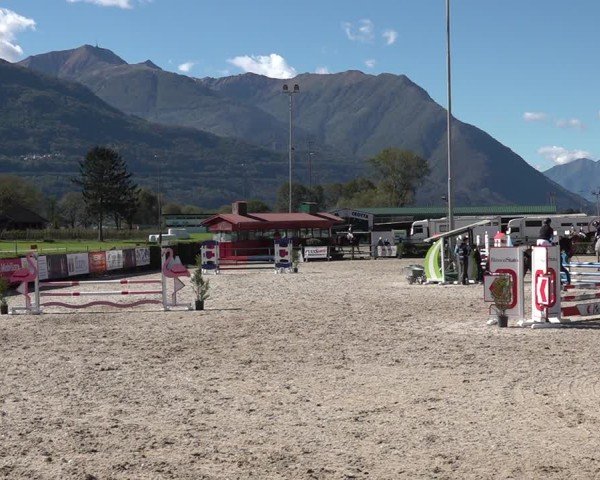 Reitturnier Giubiasco 2024