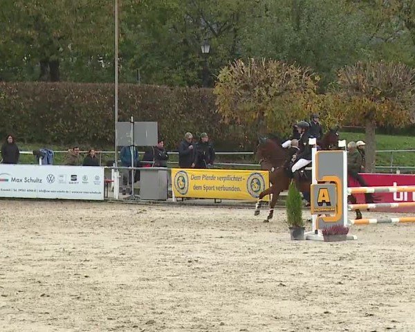 Reitturnier Frankenhof-Sonnefeld/Ofr. 2024