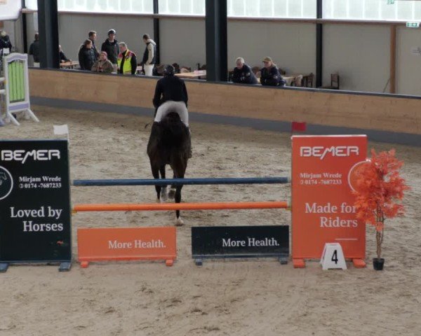 Reitturnier Borken 2024