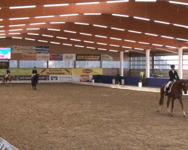 Reitturnier Isterberg 2024