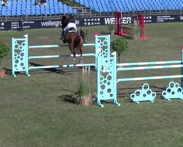 Reitturnier Scharnebeck 2024