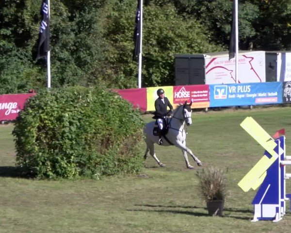 Reitturnier Scharnebeck 2024