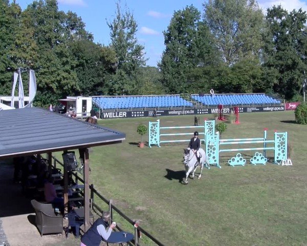 Reitturnier Scharnebeck 2024