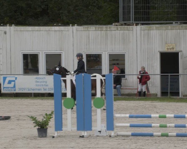 Reitturnier Pietzpuhl 2024