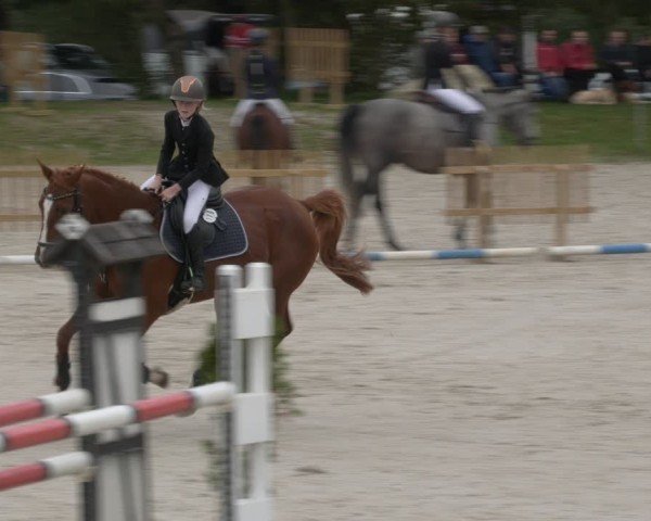 Reitturnier Pietzpuhl 2024