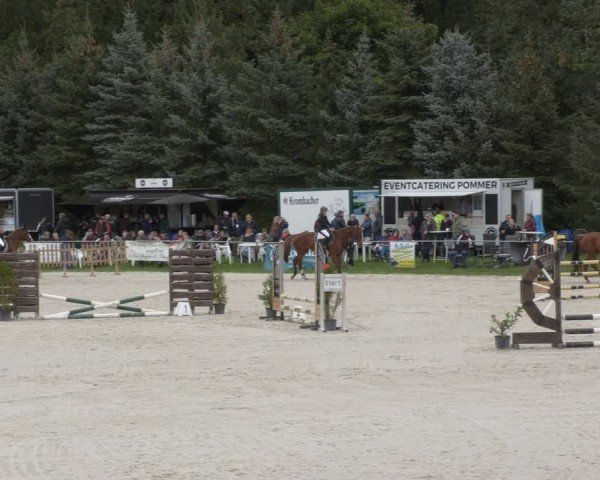 Reitturnier Pietzpuhl 2024