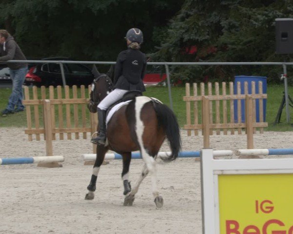 Reitturnier Pietzpuhl 2024