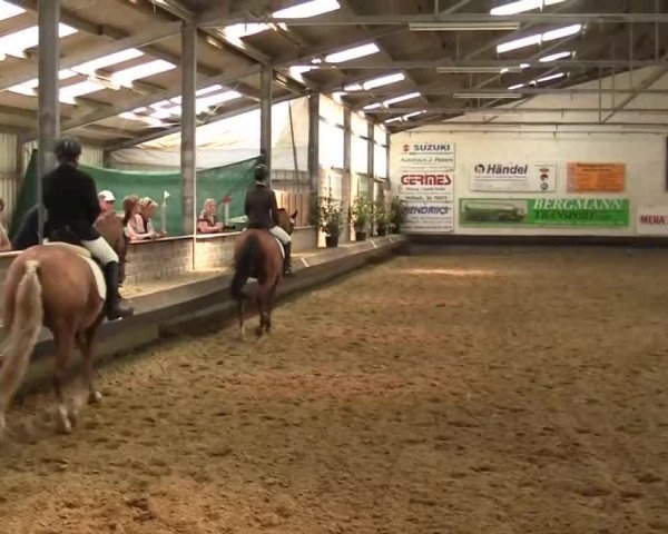 Reitturnier Kevelaer-Wetten 2013