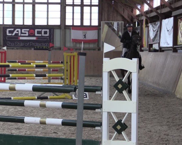 Reitturnier Elisenau 2024