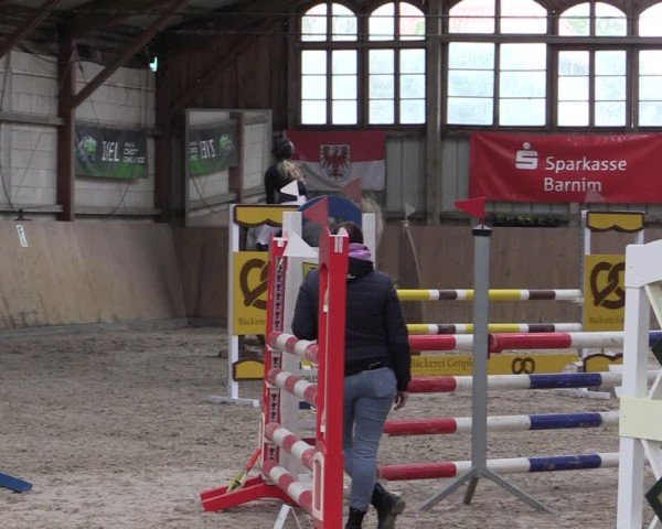 Reitturnier Elisenau 2024