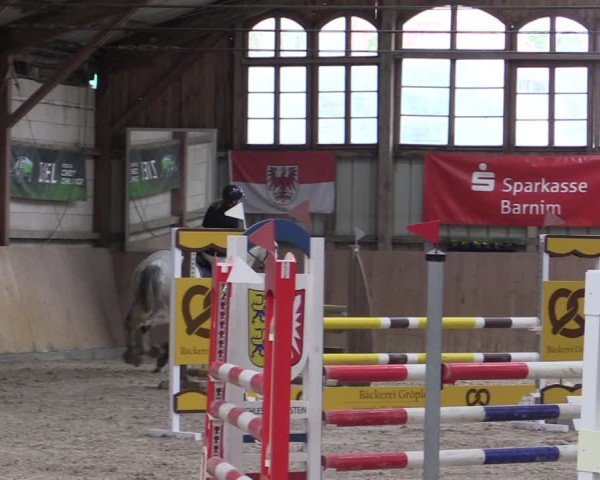 Reitturnier Elisenau 2024