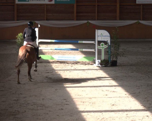 Reitturnier Xanten - Reitanlage Miss 2024