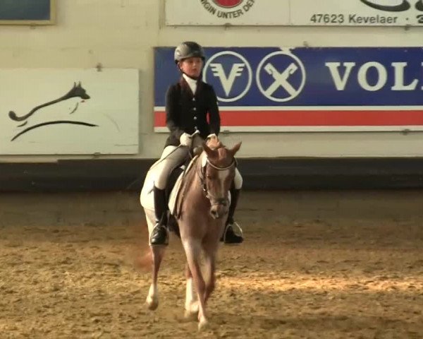 Reitturnier Kevelaer-Wetten 2013
