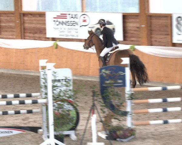 Reitturnier Xanten - Reitanlage Miss 2024