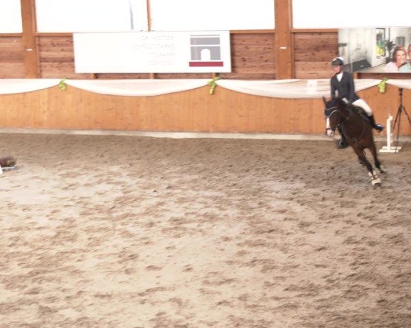 Reitturnier Xanten - Reitanlage Miss 2024