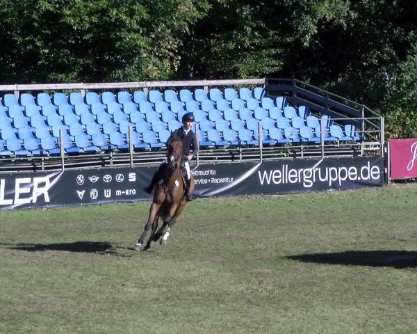 Reitturnier Scharnebeck 2024