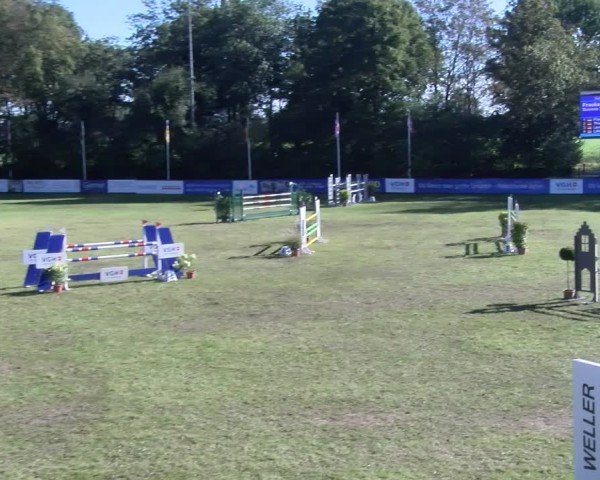 Reitturnier Scharnebeck 2024