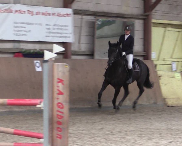 Reitturnier Elisenau 2024