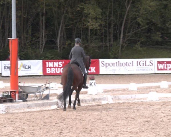 Reitturnier Igls 2024