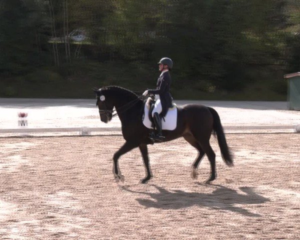 Reitturnier Igls 2024