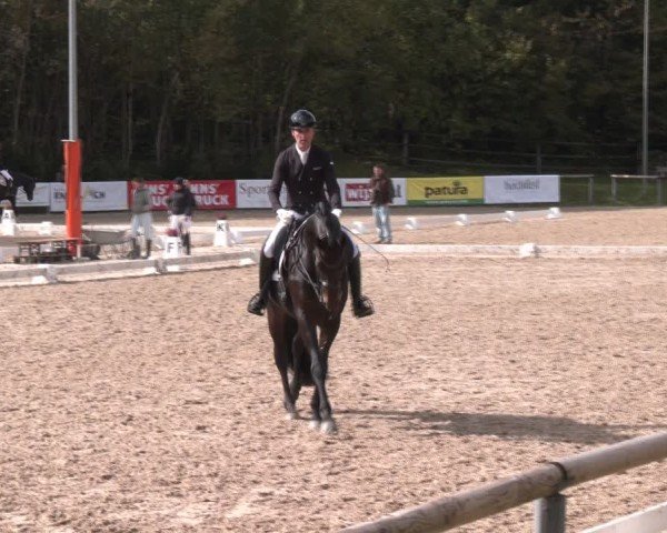 Reitturnier Igls 2024