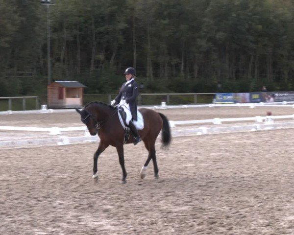 Reitturnier Igls 2024