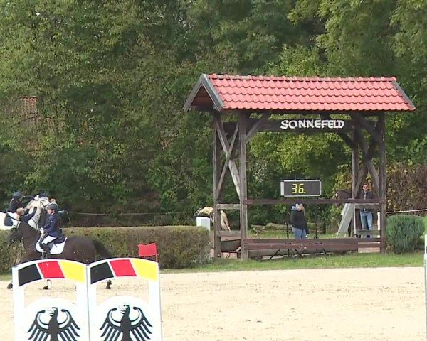 Reitturnier Frankenhof-Sonnefeld/Ofr. 2024