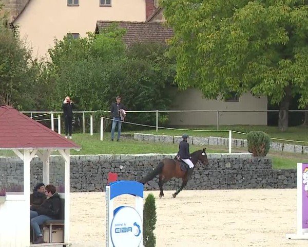 Reitturnier Frankenhof-Sonnefeld/Ofr. 2024