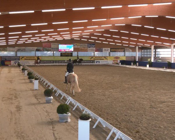 Reitturnier Isterberg 2024
