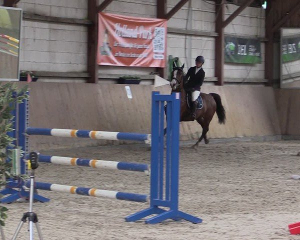 Reitturnier Elisenau 2024