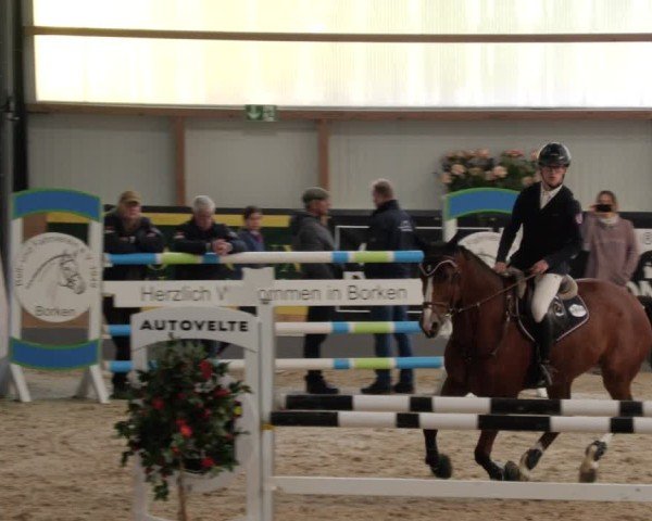 Reitturnier Borken 2024
