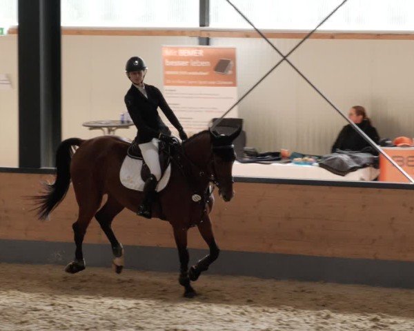Reitturnier Borken 2024