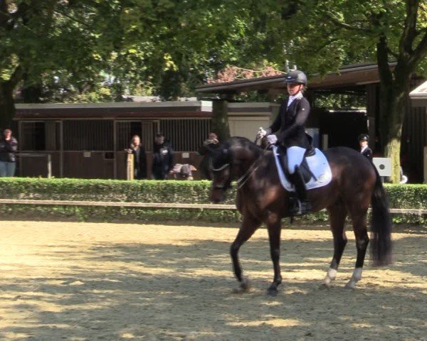 Reitturnier Bottrop-Kirchhellen 2024