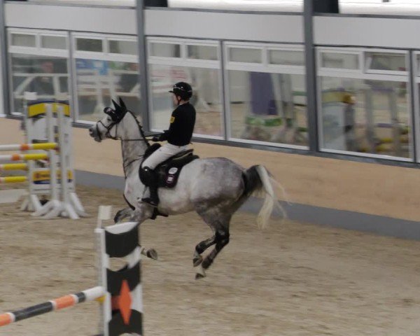 Reitturnier Borken 2024