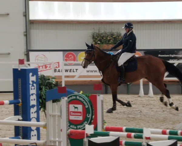 Reitturnier Borken 2024