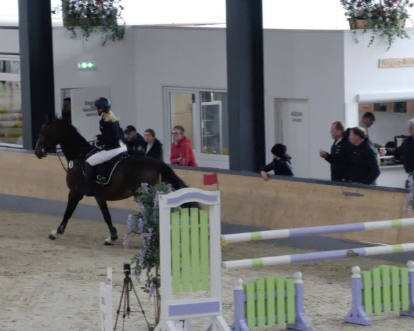 Reitturnier Borken 2024