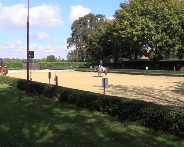 Reitturnier Bottrop-Kirchhellen 2024