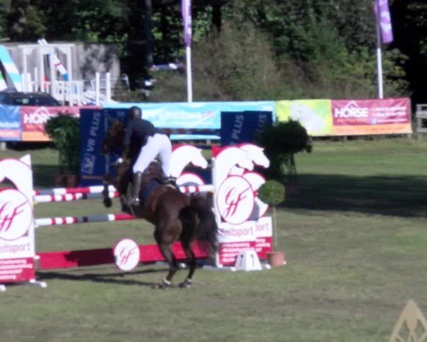 Reitturnier Scharnebeck 2024