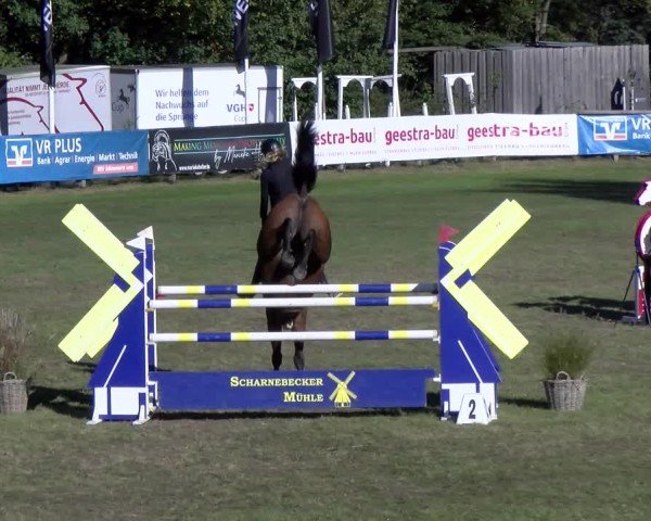 Reitturnier Scharnebeck 2024
