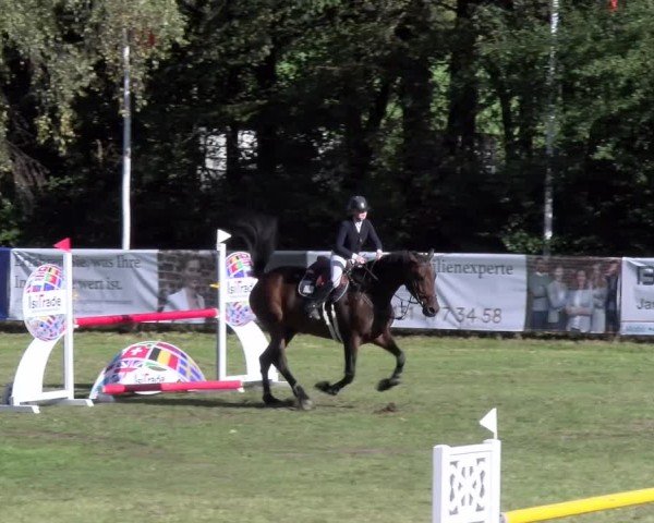 Reitturnier Scharnebeck 2024