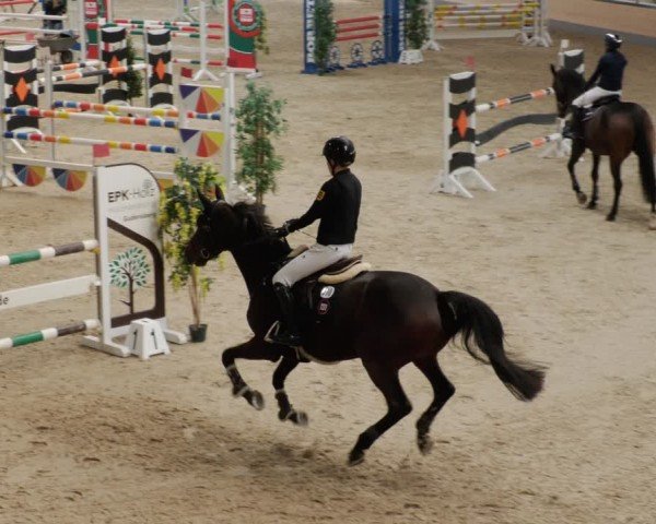 Reitturnier Borken 2024