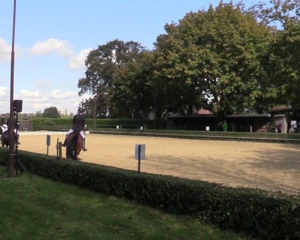 Reitturnier Bottrop-Kirchhellen 2024
