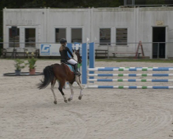 Reitturnier Pietzpuhl 2024