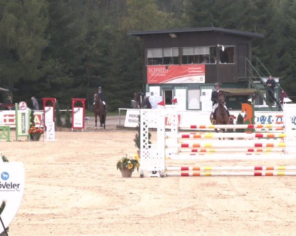 Reitturnier Ranshofen - Braunau am Inn 2024