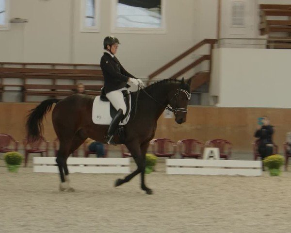 Reitturnier Frechen-Grefrath - Sonnenhof 2024