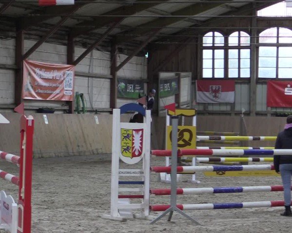 Reitturnier Elisenau 2024