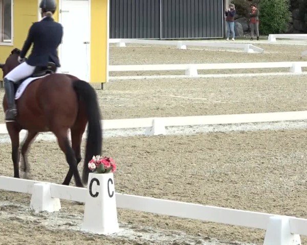 Reitturnier St. Margarethen 2024