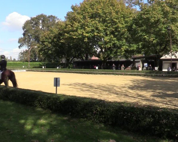 Reitturnier Bottrop-Kirchhellen 2024