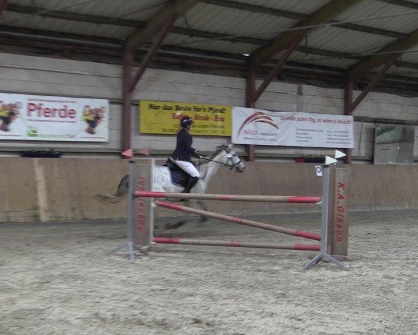 Reitturnier Elisenau 2024