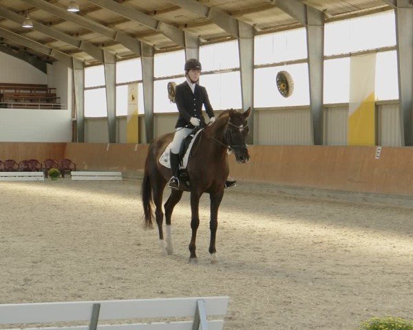 Reitturnier Frechen-Grefrath - Sonnenhof 2024